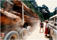 Forests Off to the Woodchip Mill, South East Forests, NSW,&nbsp;1995.