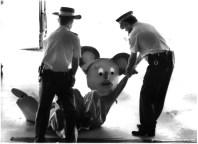 Anti Logging Protest, State Forestry Commission, Pennant Hills, Sydney, 2006.