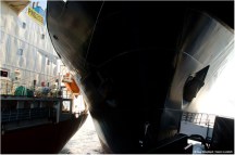 Ramming-of-BB-NM-SL SI© Sea Shepherd/ Glenn Lockitch&nbsp;2013