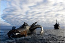 Sea Shepherd Waltzing Matilda Antarctic Campaign 2009/10.