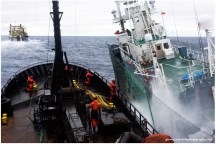 Sea Shepherd Waltzing Matilda Antarctic Campaign&nbsp;2009/10.