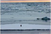 Antarctic Meditation.