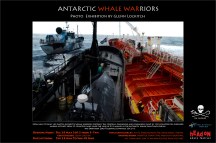 Antarctic Whale Warriors Exhibition_Opening 28 May_Glenn Lockitch