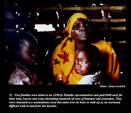 21_Copyright Glenn Lockitch 2009