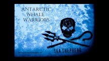 © Sea Shepherd/ Glenn Lockitch 2013