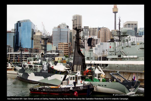 01_Sam Simon arrives at Darling Harbour Sydney 2014_© Glenn Lockitch