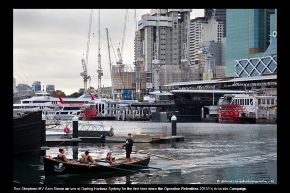 14_Sam Simon arrives at Darling Harbour Sydney 2014_© Glenn Lockitch